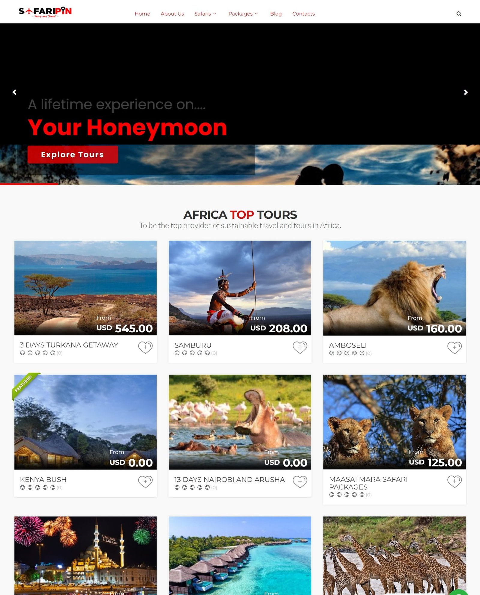 Website Development 4 Safaripin Ltd